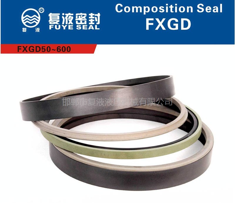 FXGD孔用組合密封